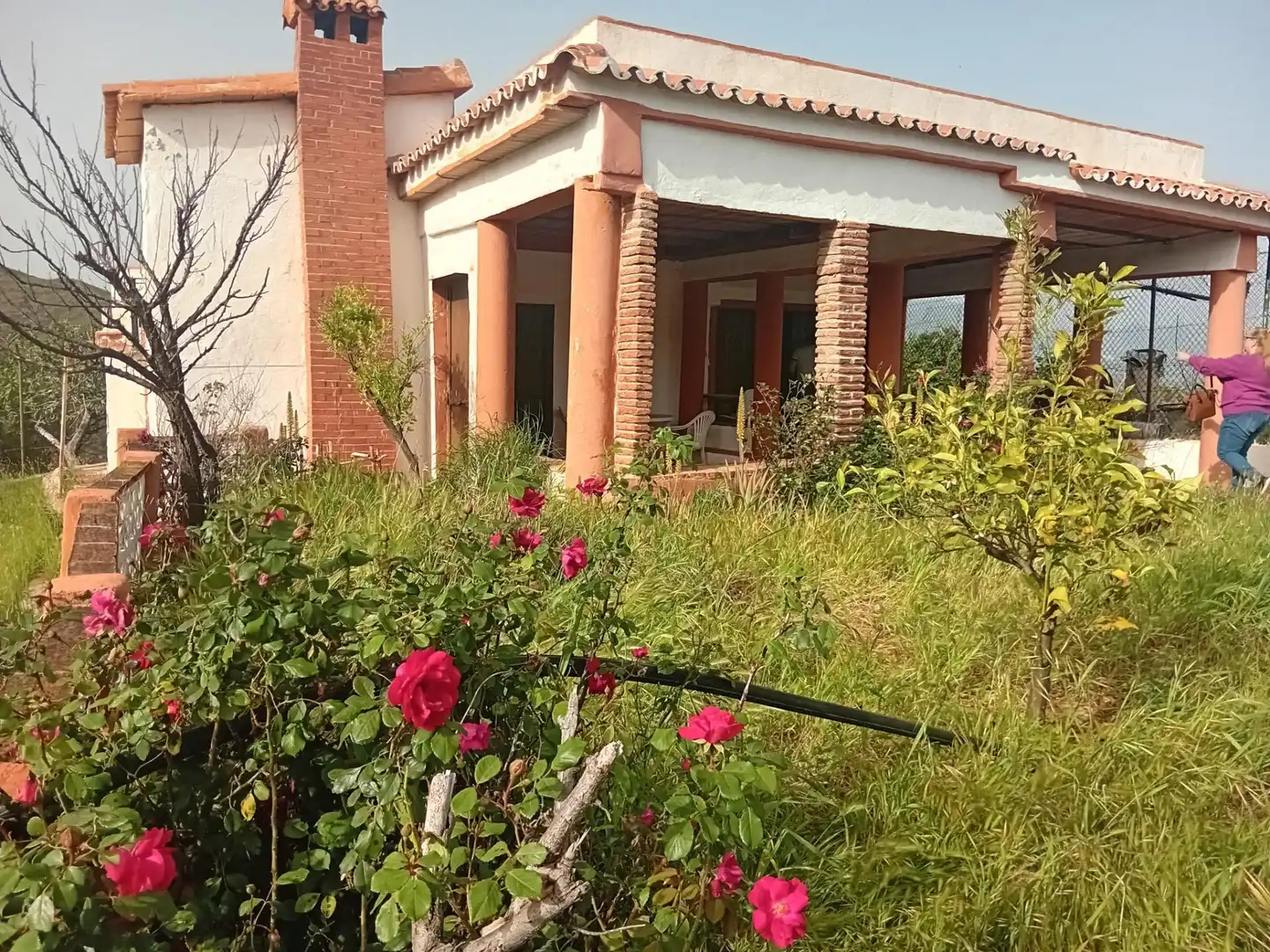 Jardí de Casa o xalet en venda en Marbella amb Jardí privat, Terrassa i Traster