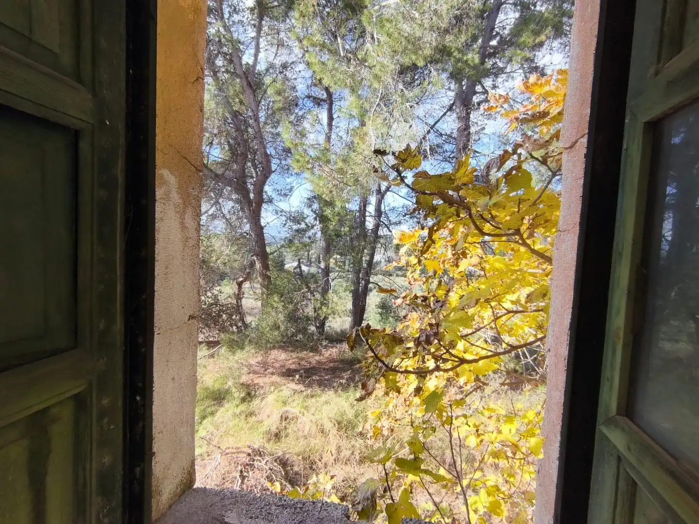 Finca rústica en venta en Ontinyent con Jardín privado