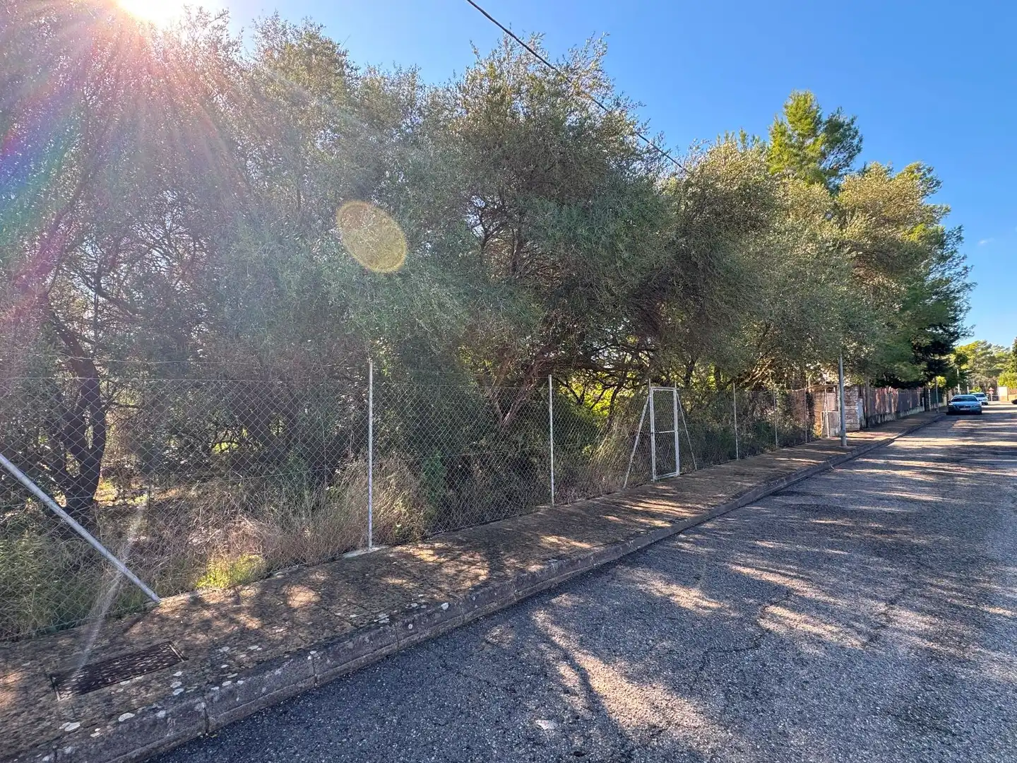 Wohnbaugrundstück zum Verkauf in Sa Pobla, imagen 14