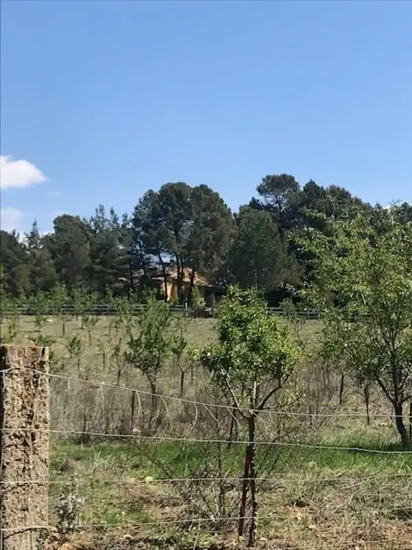 Country homes for sale in Cortes de Pallás  with Heating and Swimming Pool