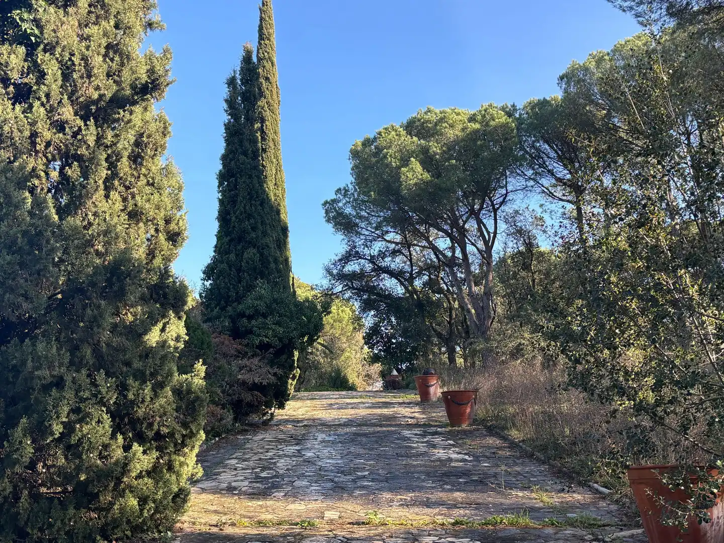 Jardín de Finca rústica en venta en La Pera con Jardín privado, Trastero y Piscina