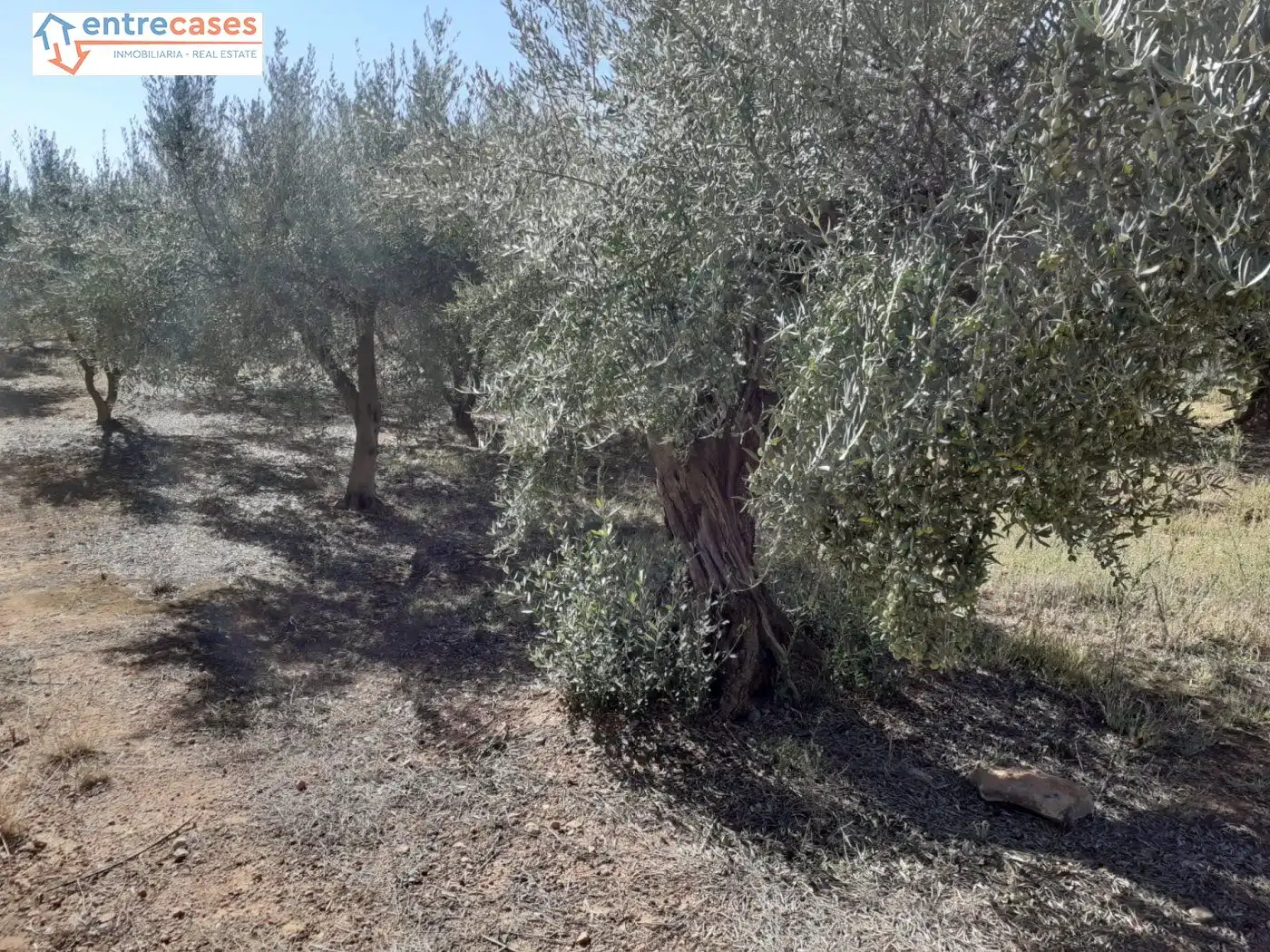 Terreno rustico in vendita a Segorbe, imagen 29
