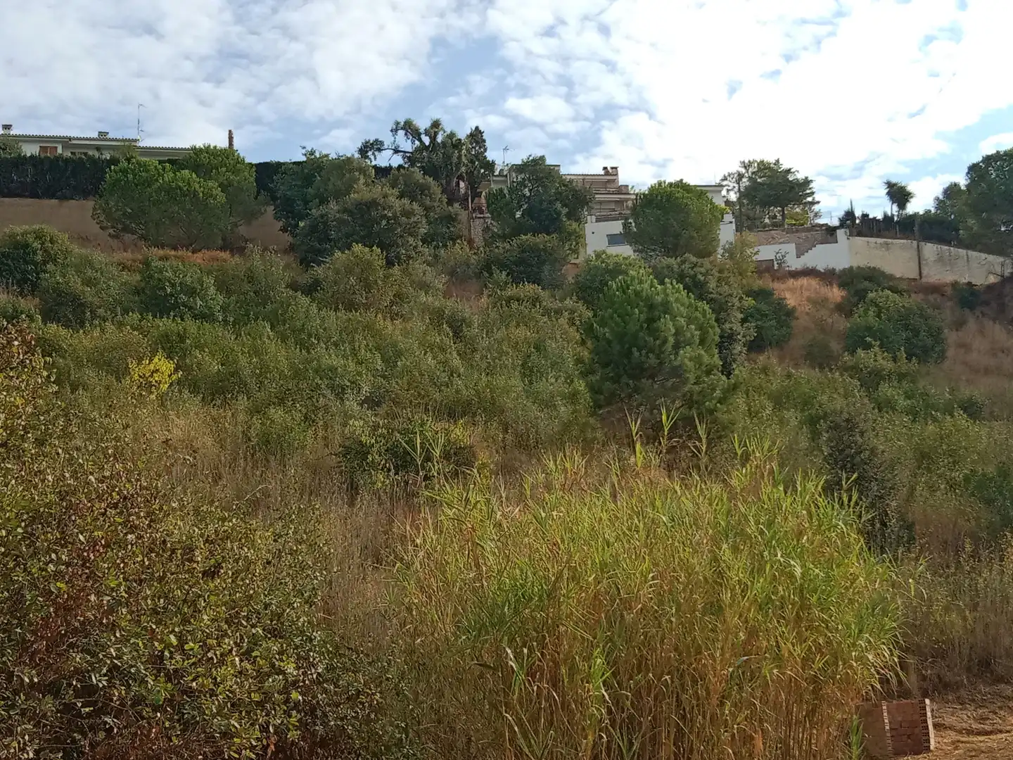Terrenos y solares en venta en Sant Cebrià de Vallalta, imagen 11