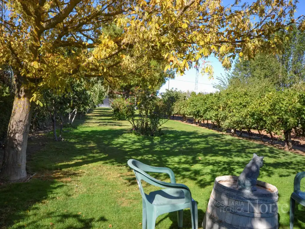 Jardín de Casa o chalet en venta en Fuente El Saz de Jarama, Madrid