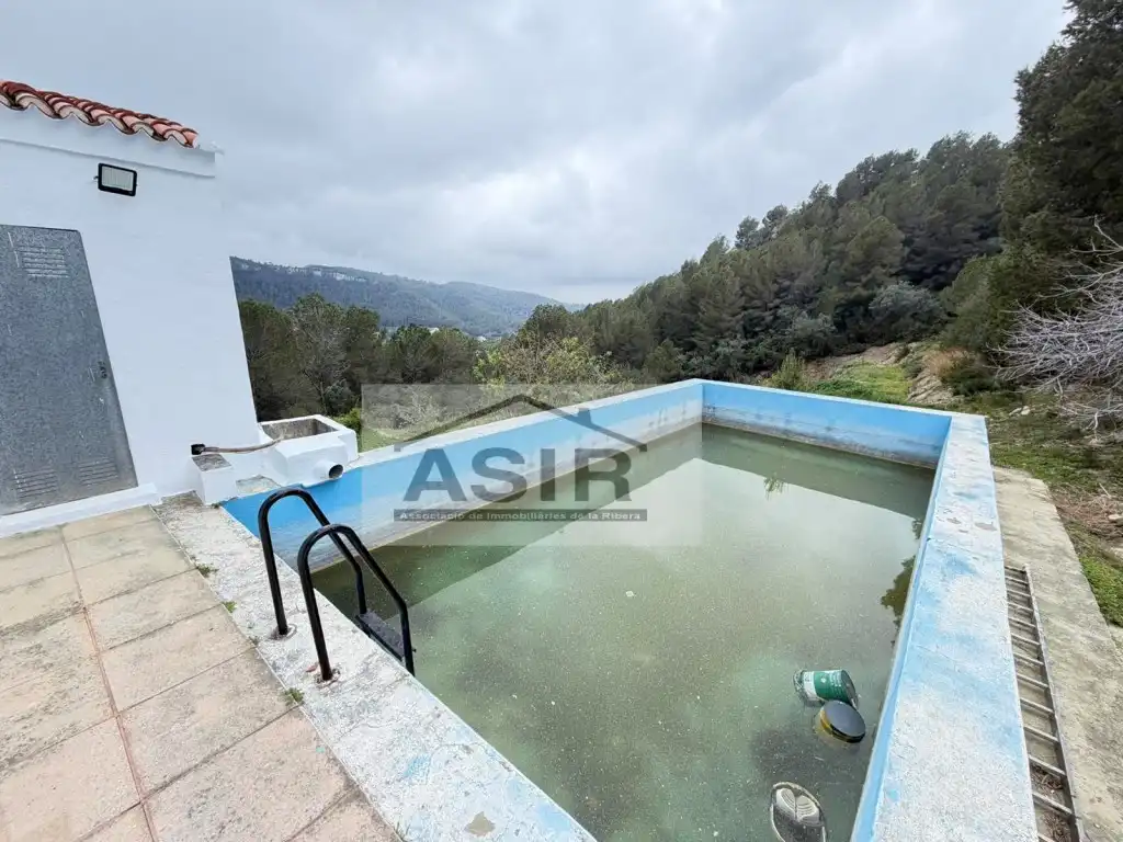 Swimming pool of Houses for sale in Alzira