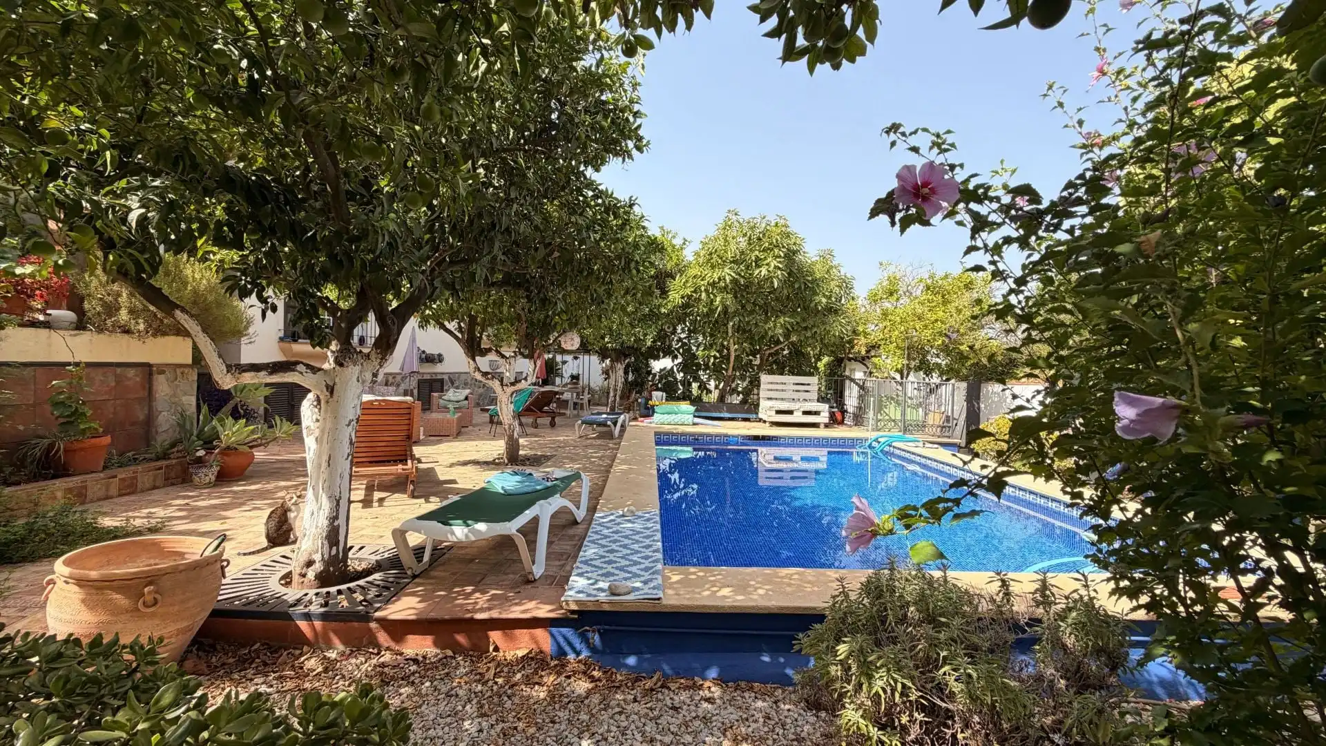 Casa amb piscina en venda a Centro, imagen 45