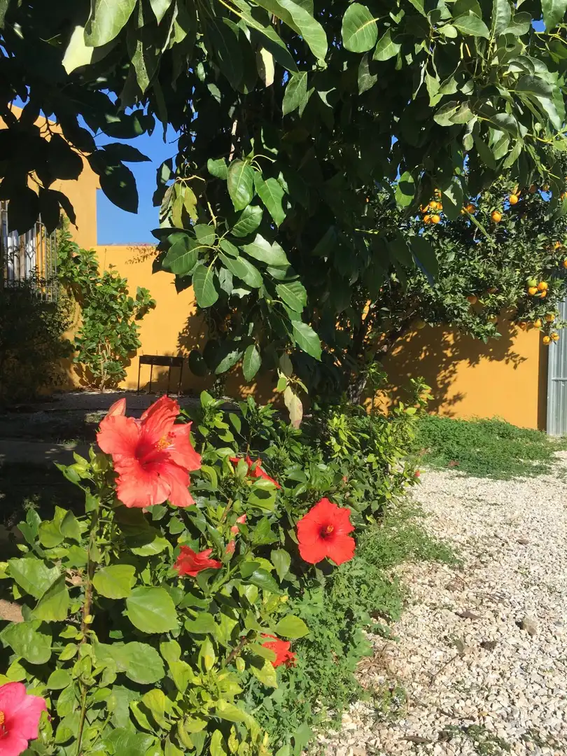 Casa rústica en venda a Monte los Almendros - El Pargo - Costa Aguilera, imagen 15