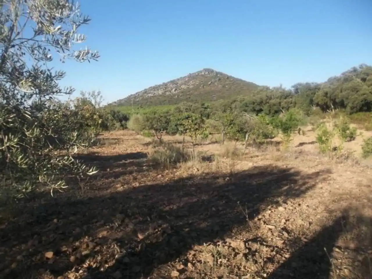 Terreno en venta en Navalvillar de Pela