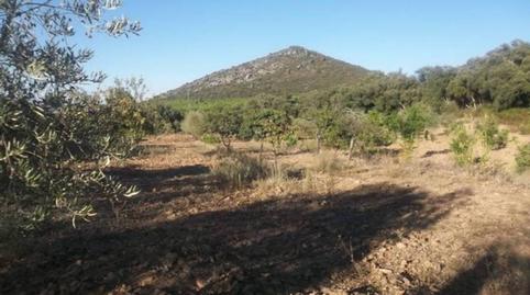 Foto 2 von Grundstücke zum Verkauf in Camino Orellana, Navalvillar de Pela, Badajoz