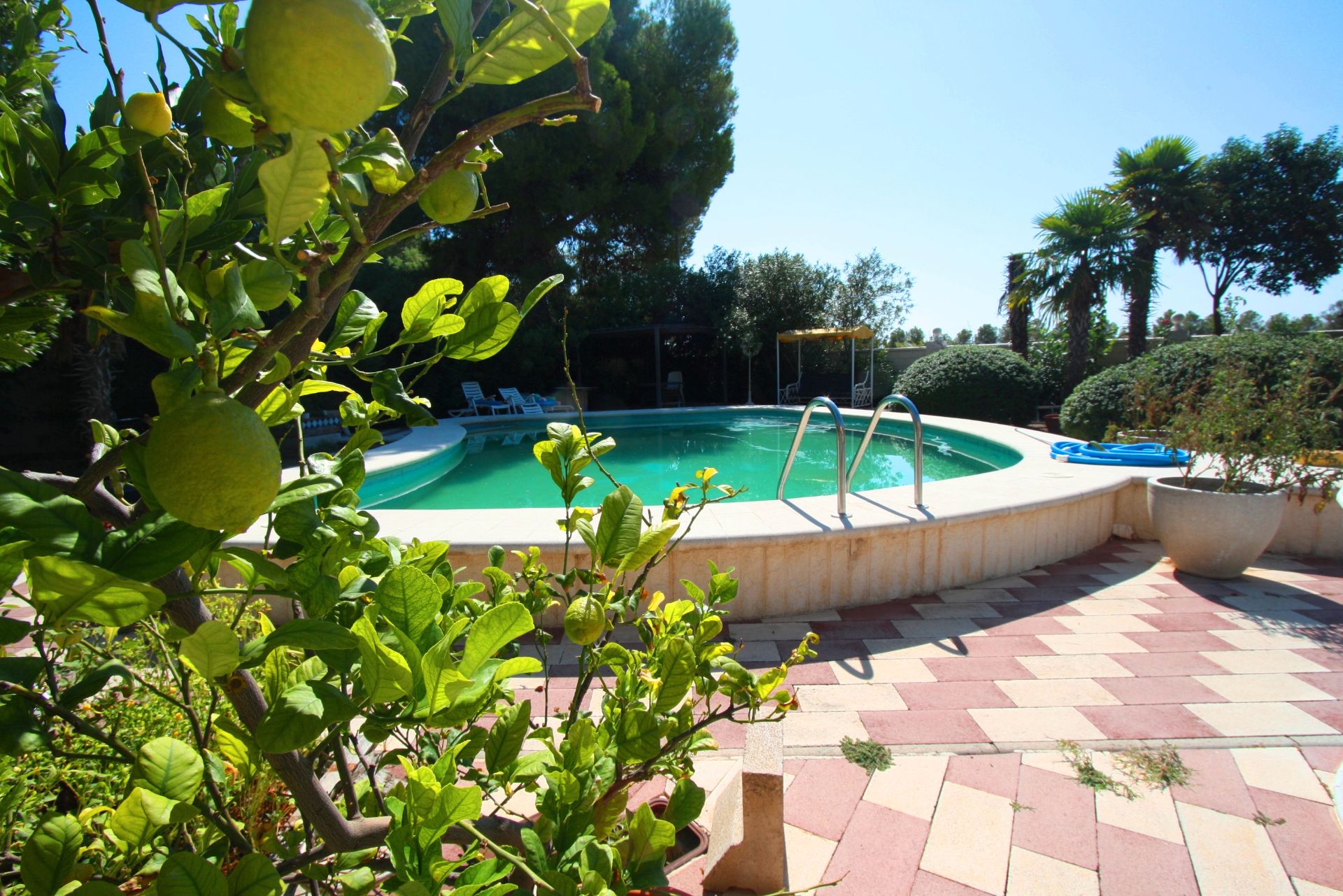 Jardí de Casa o xalet en venda en  Albacete Capital amb Aire condicionat, Calefacció i Jardí privat