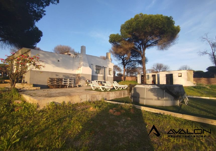 Jardí de Casa o xalet en venda en Bonares amb Jardí privat i Traster