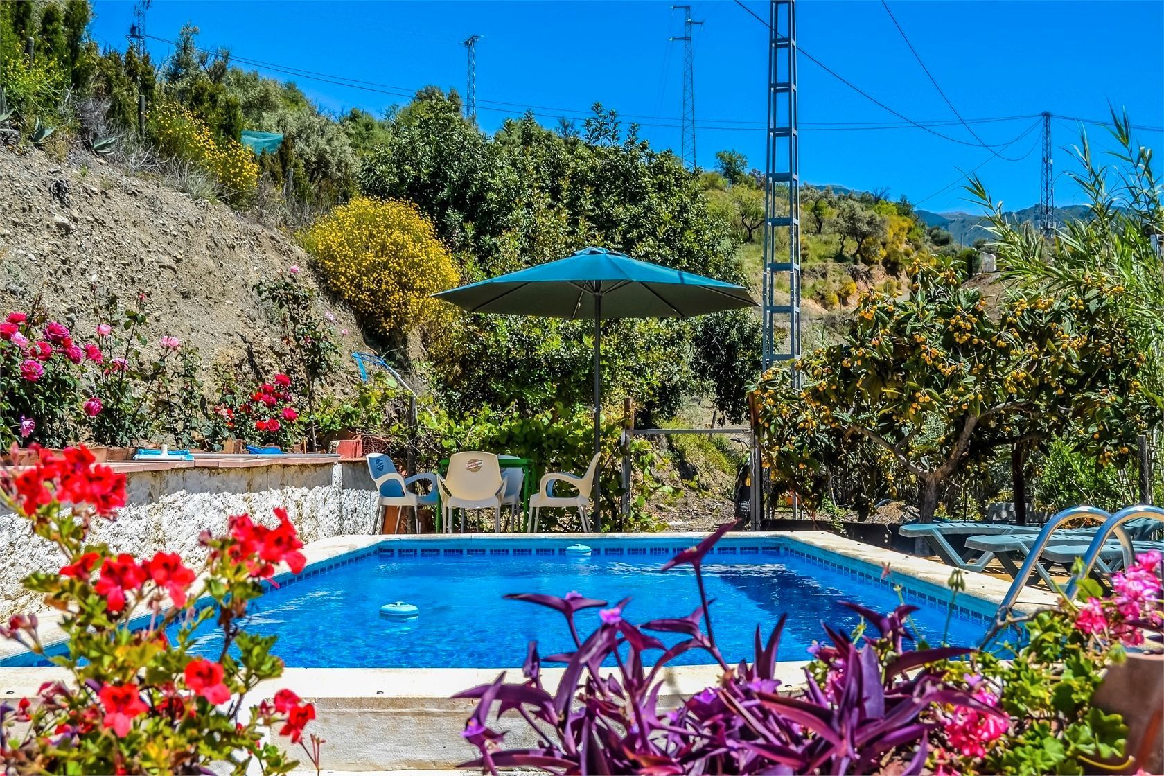Swimming pool of House or chalet for sale in Sedella  with Private garden, Terrace and Swimming Pool