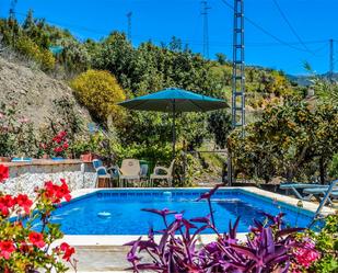 Swimming pool of House or chalet for sale in Sedella  with Terrace and Swimming Pool