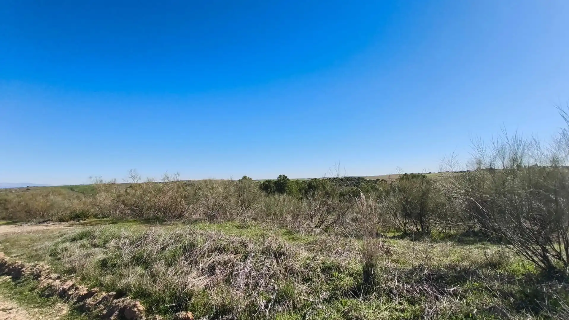 Grundstücke zum Verkauf in El Viso de San Juan