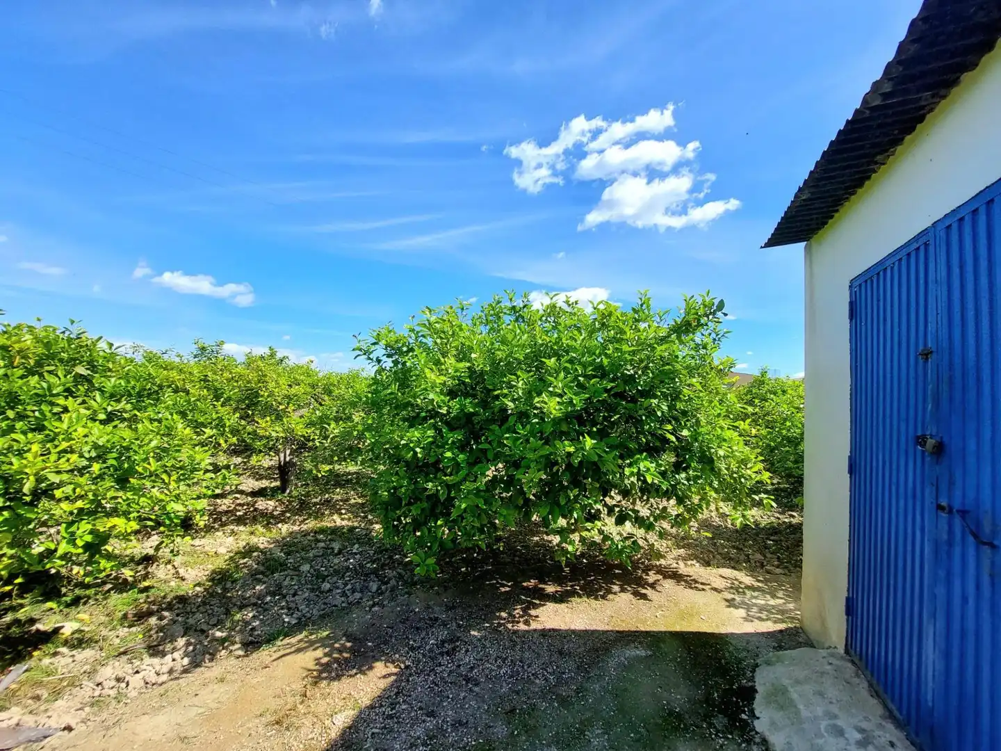 Terrenys i solars en venda a Pedanías Este, imagen 2