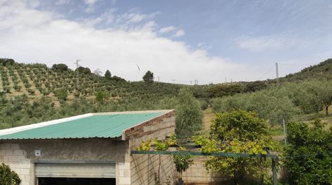 Finca rústica con vivienda en la Estación de Archidona, immagine 3