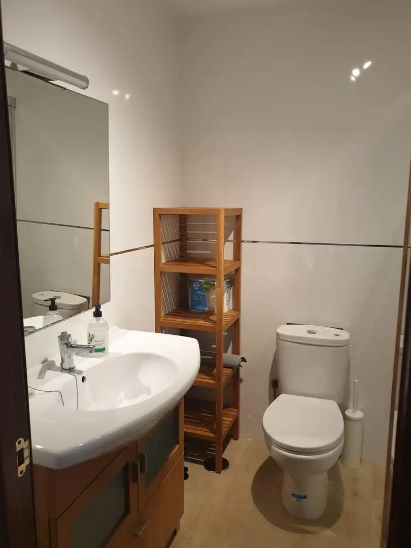 Bany de Pis per a compartir en Málaga amb Aire condicionat, Parquet i Terrassa