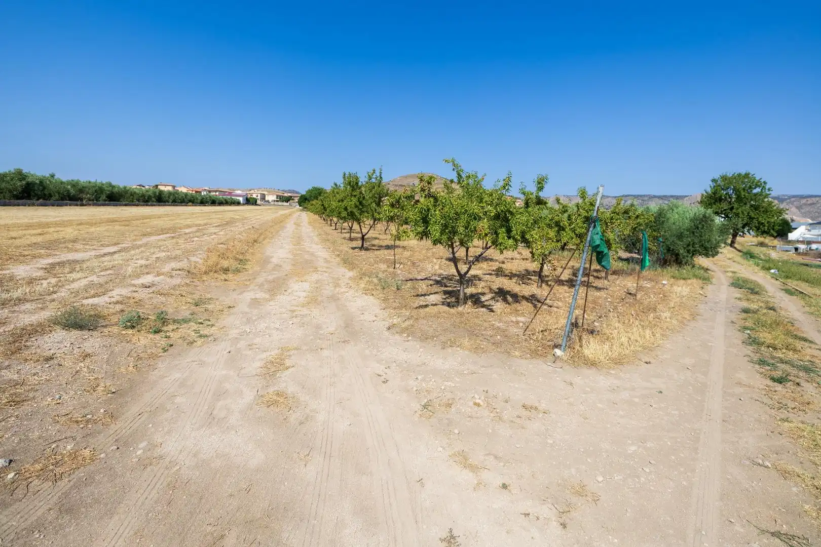 Casa o chalet en venta en Darro con Aire acondicionado, Calefacción y Jardín privado