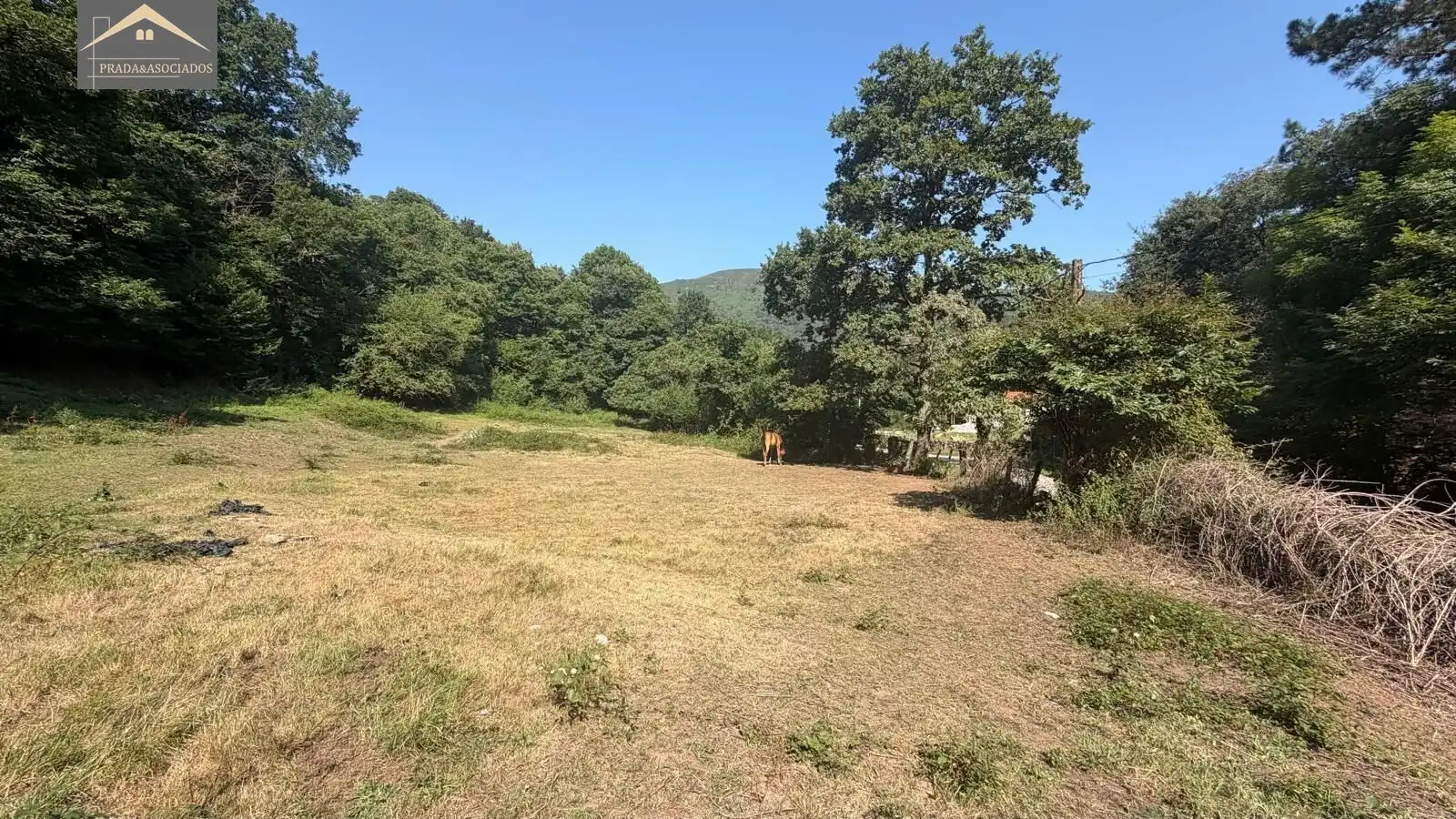 Residential land for sale in Ruente