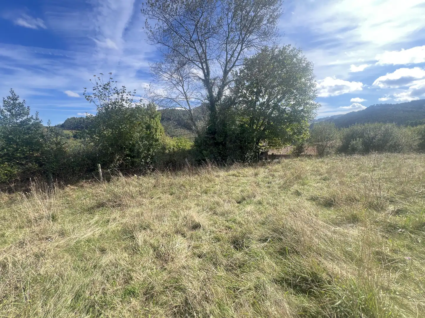 Lands and plots for sale in Pillarno, imagen 9