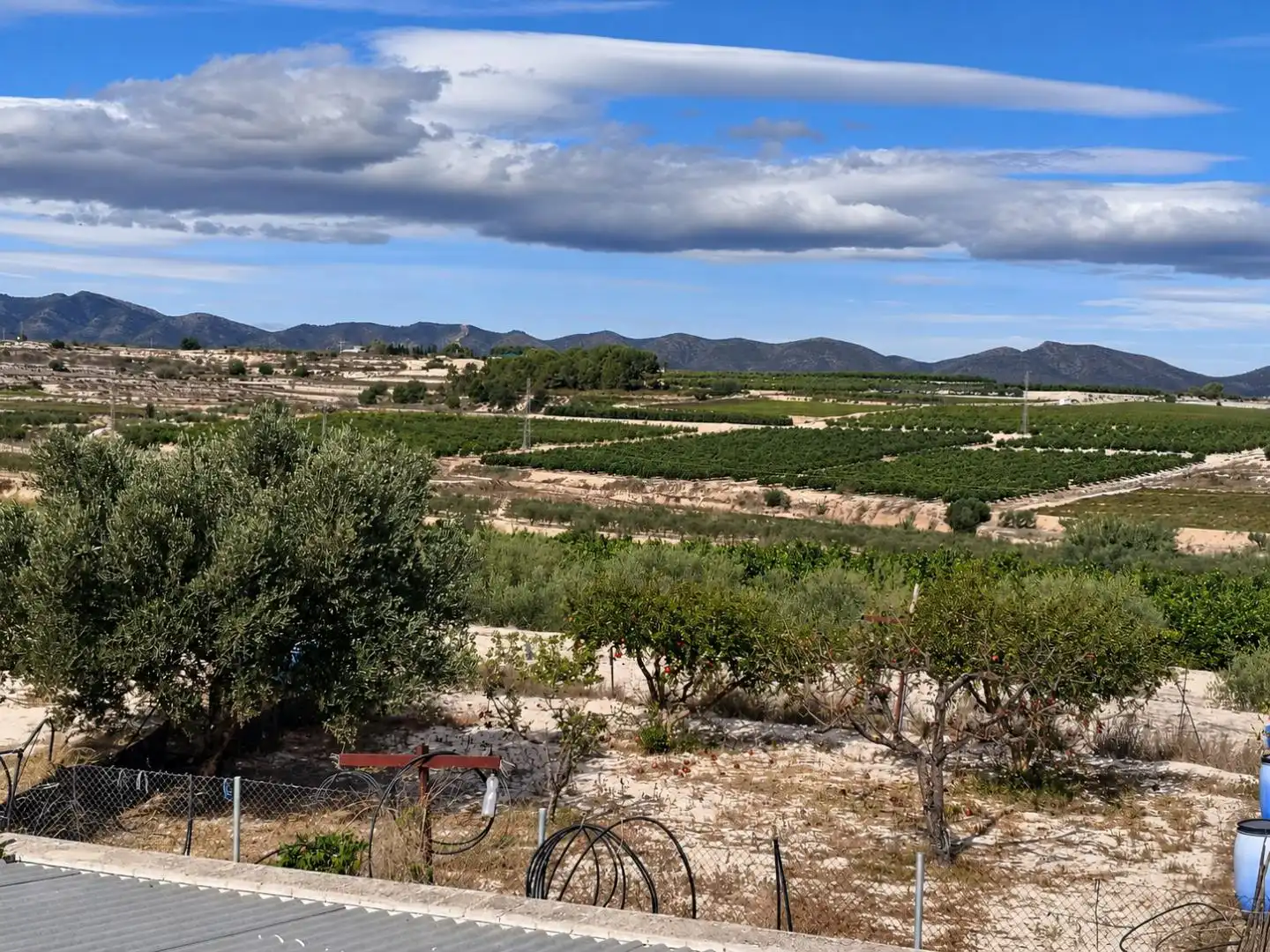 Xalet amb jardí en venda a Albaida, imagen 36