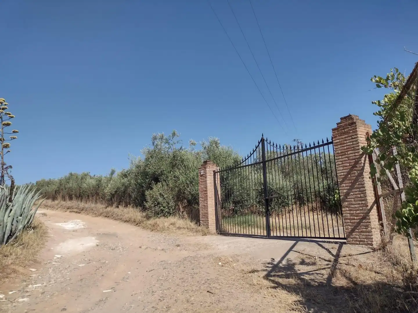 Casa o chalet en venta en Cantillana con Jardín privado y Piscina