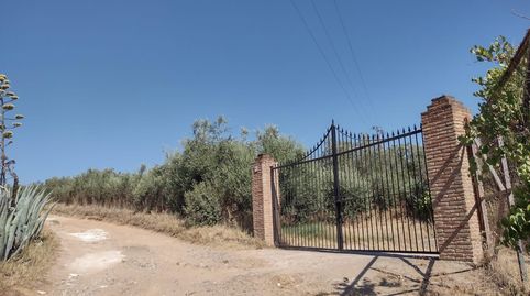 Foto 4 de Casa o xalet en venda a Cantillana, Sevilla
