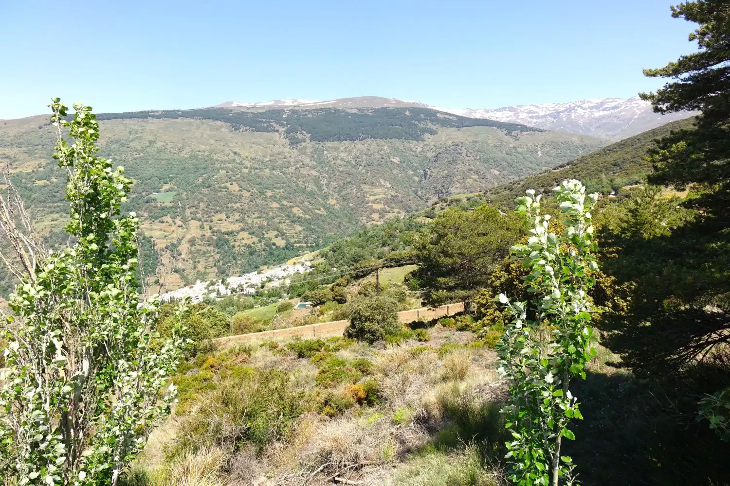 Vista exterior de Casa o xalet en venda en Capileira amb Terrassa i Traster