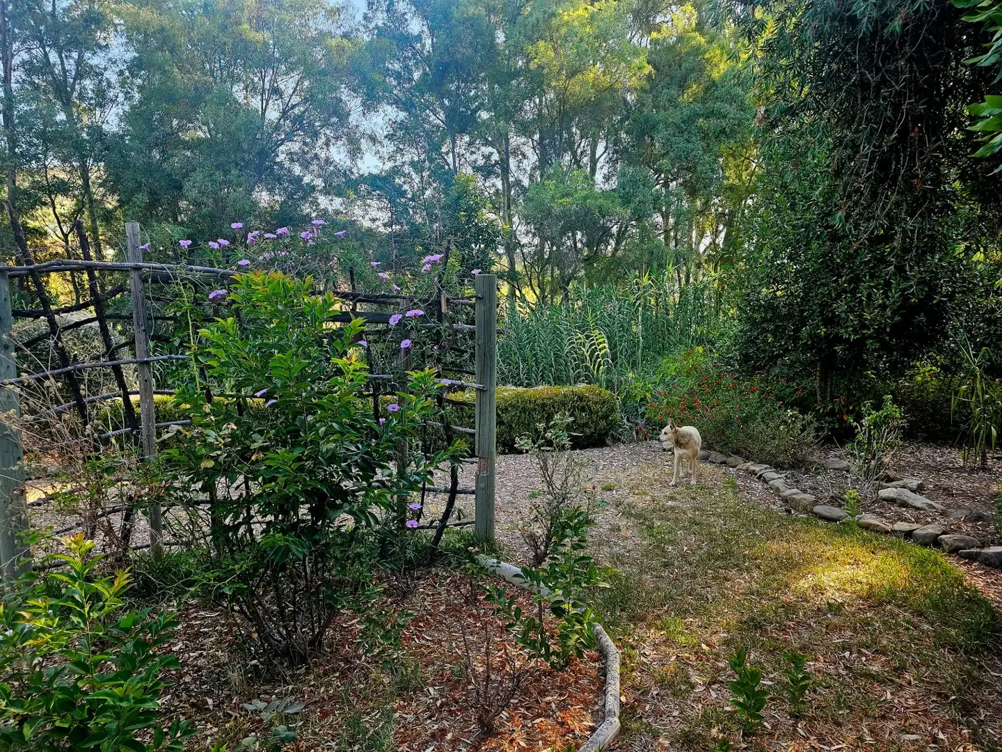 Detached house for sale in Guaro, imagen 34