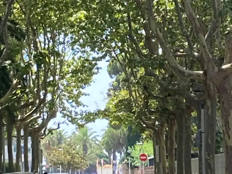 Apartment with lift to rent in Carrer de Pere III el Gran 8, imagen 2