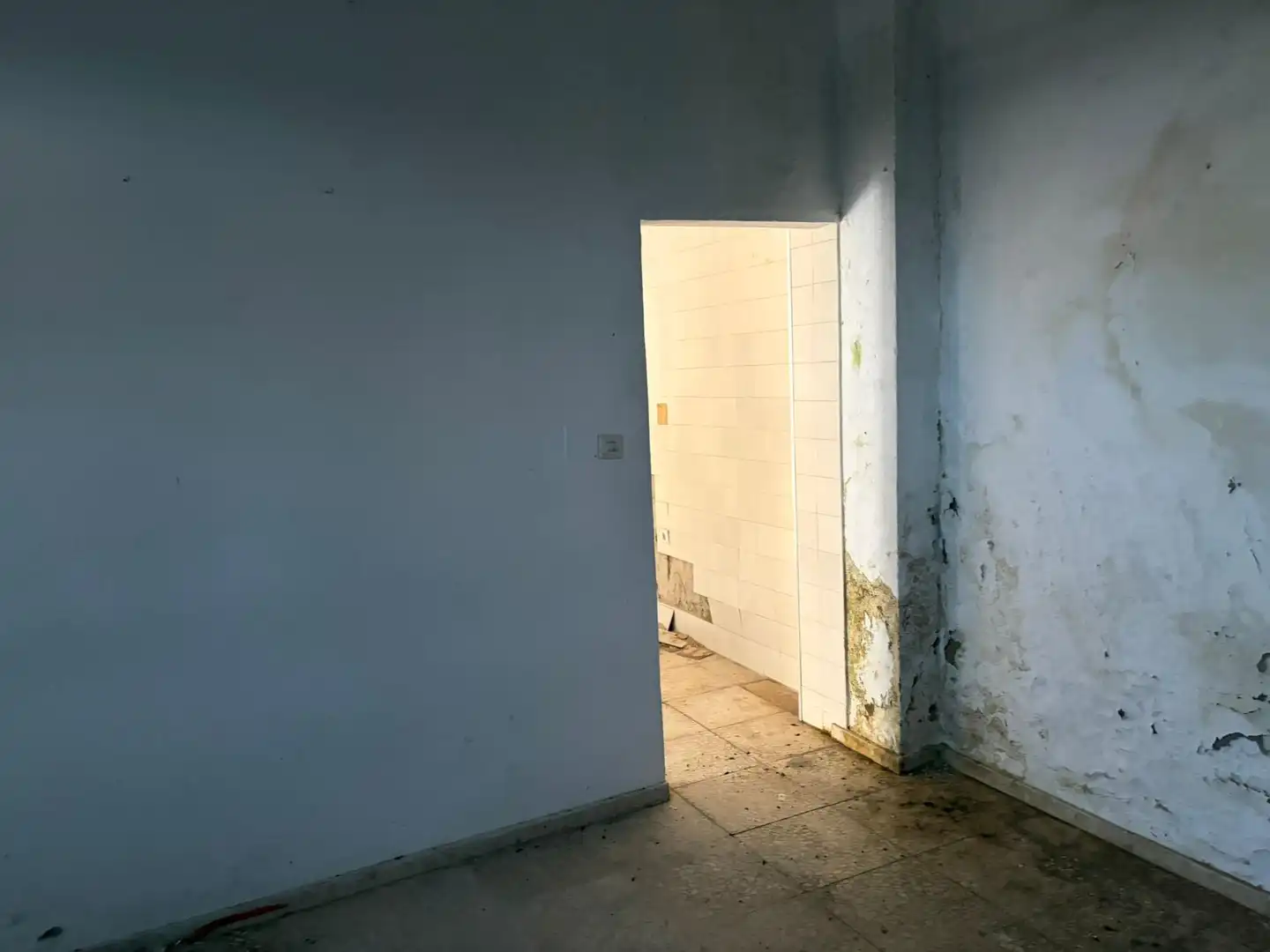 Gewerbefläche zum Verkauf in Ctra Sanlúcar - Cuatro Pinos, imagen 11