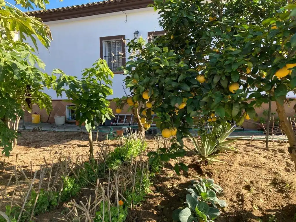 Chalet con jardín en venta en Medina Sidonia, imagen 39