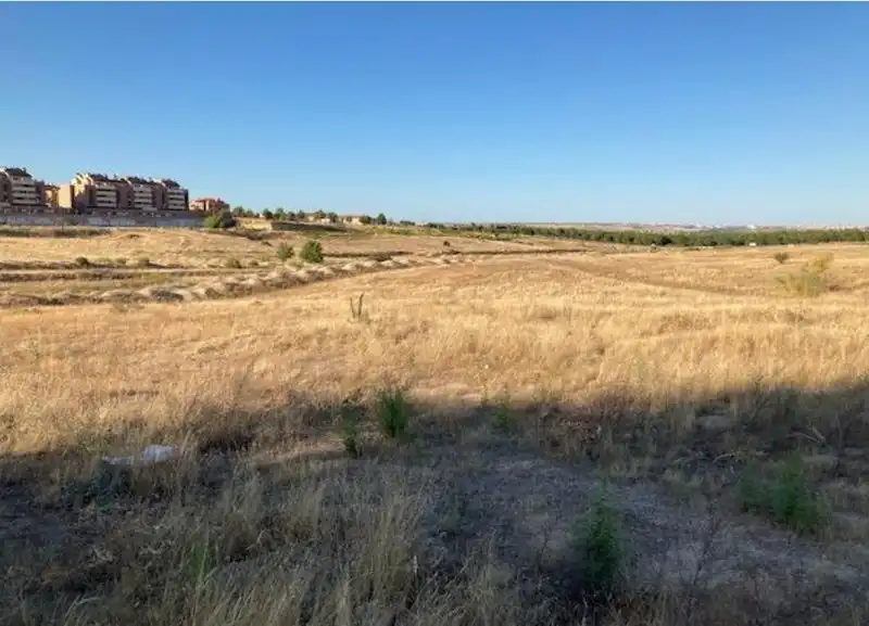 Terreny residencial en venda a La Dehesa - El Pinar, imagen 7