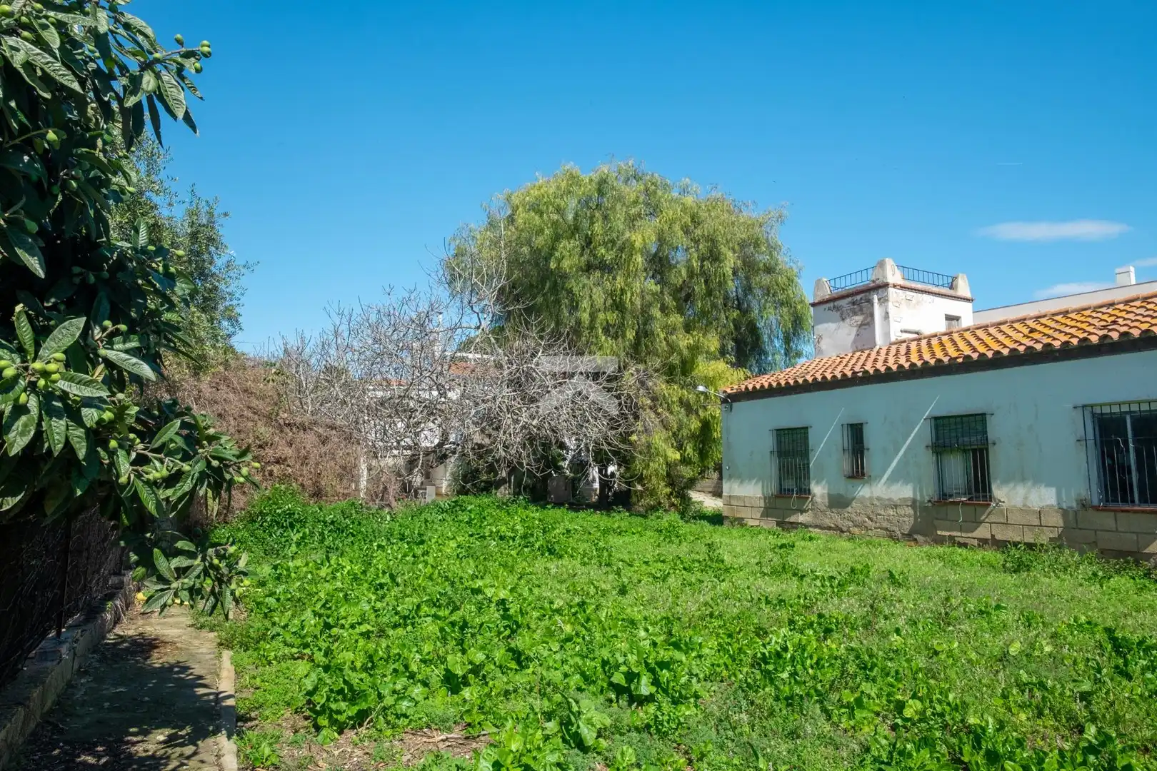 Haus mit Terrasse zum Verkauf in Llevant, imagen 43