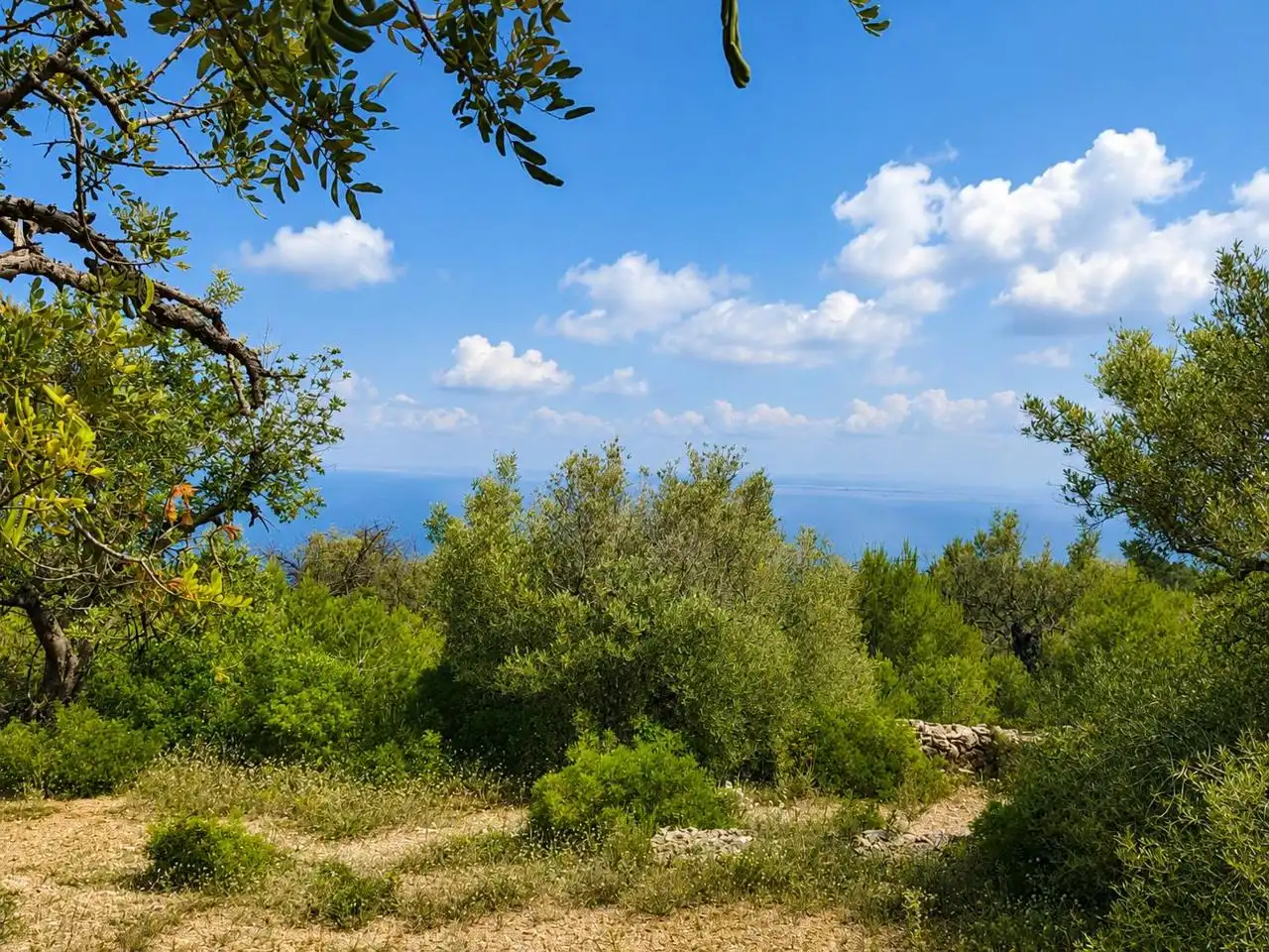 Country homes for sale in L'Ametlla de Mar   with Private garden and Terrace