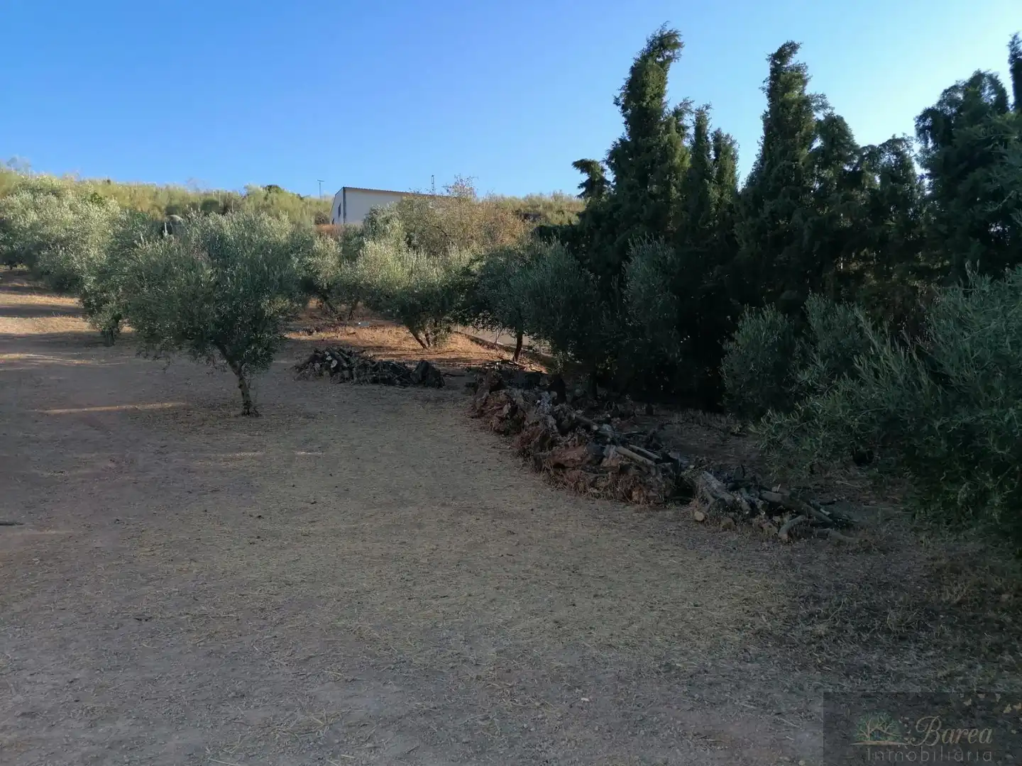 Houses for sale in Rute  with Air Conditioner and Terrace