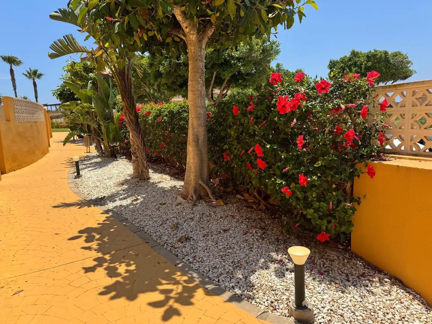 Jardí de Pis en venda en Roquetas de Mar amb Aire condicionat, Terrassa i Piscina