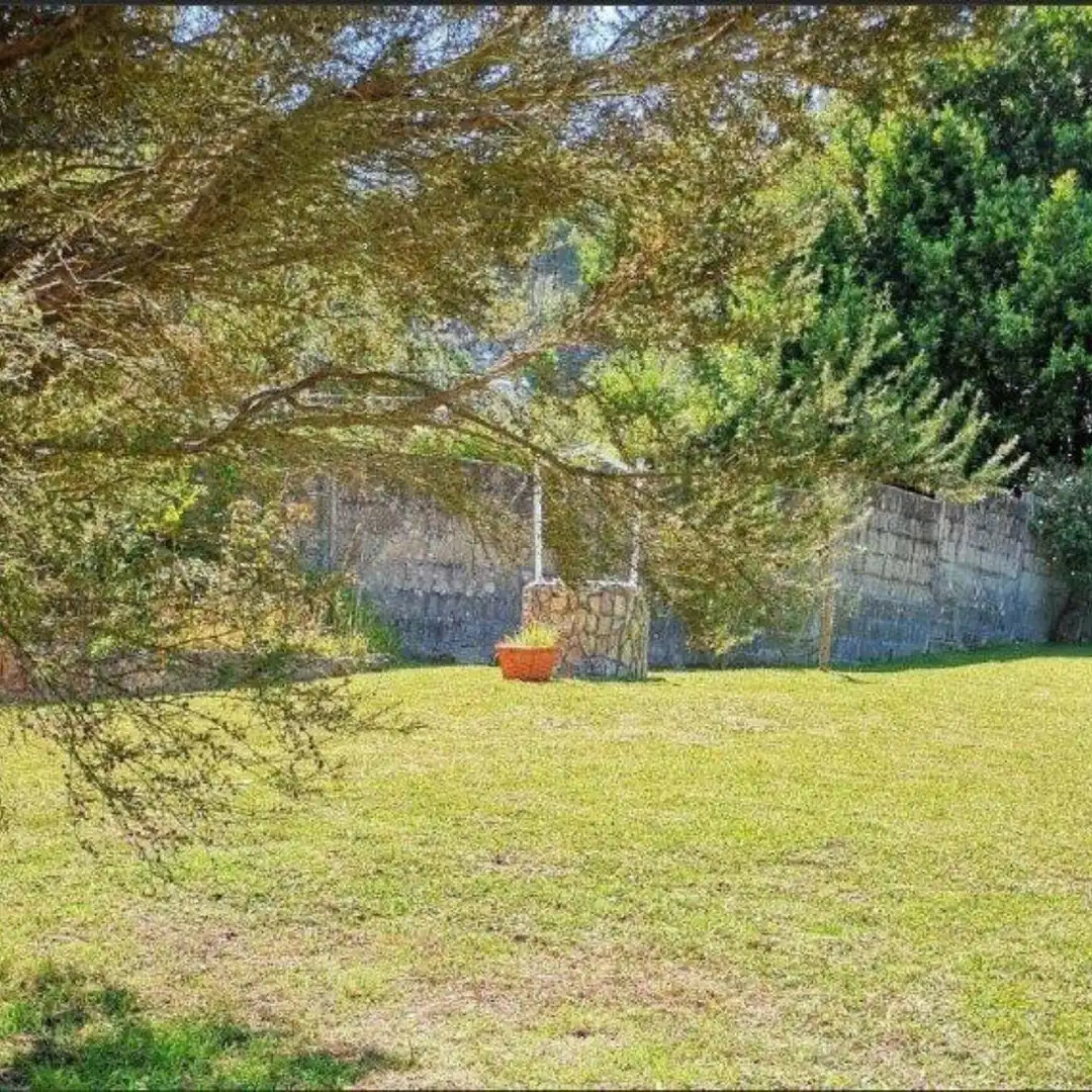 Villa mit Garten zum Verkauf in do Loureiro, imagen 15