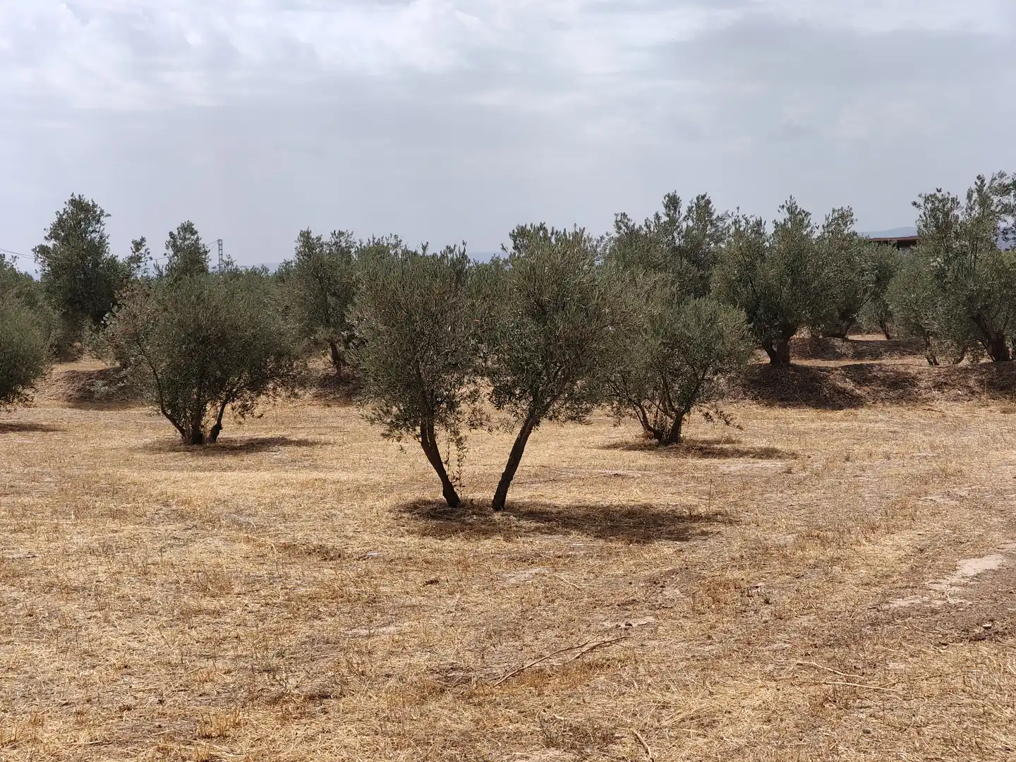 Terreno rústico en venta en Camino las Cuatro Piedras, imagen 3