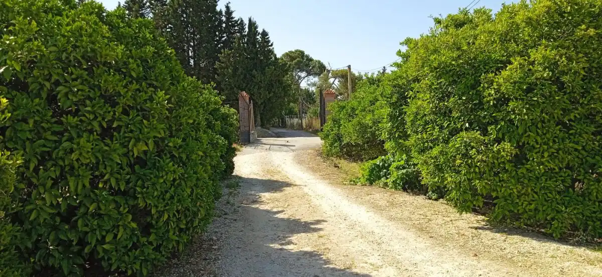 Exterior view of Country homes for sale in Jerez de la Frontera