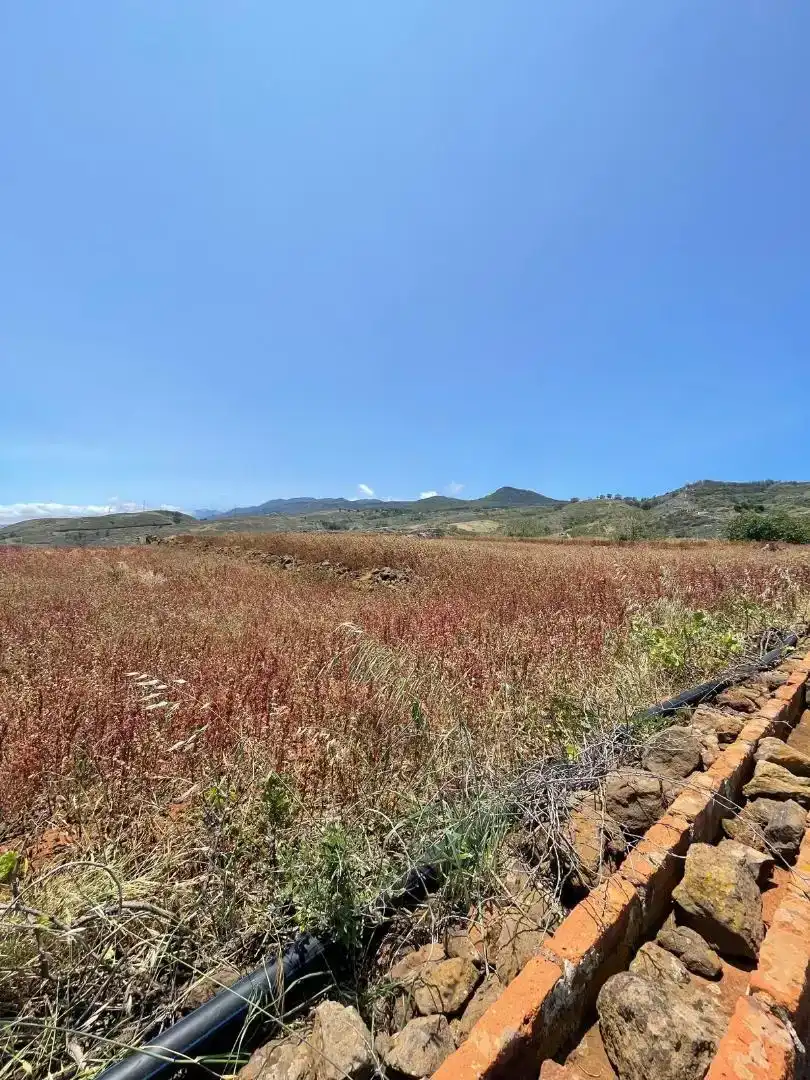 Finca rústica en venda en El Rosario