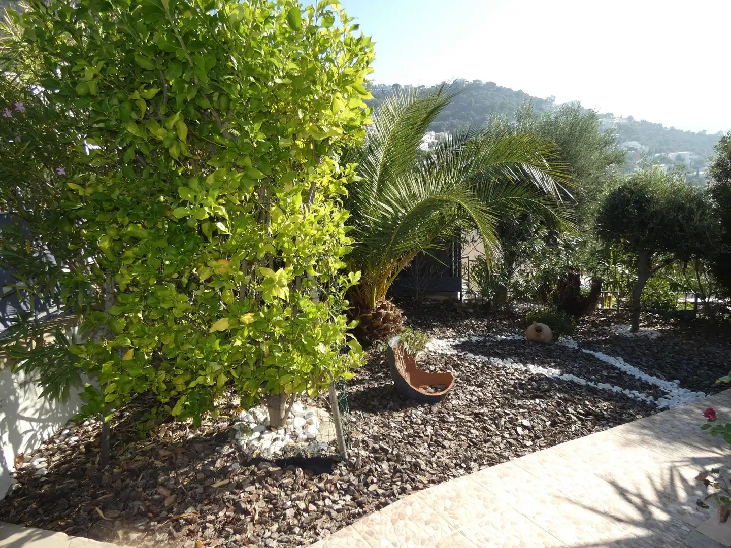 Haus mit Pool zum Verkauf in CANARIES, imagen 47