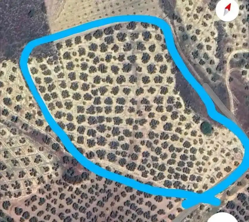 Terrenys i solars en venda a Zona de la Vega