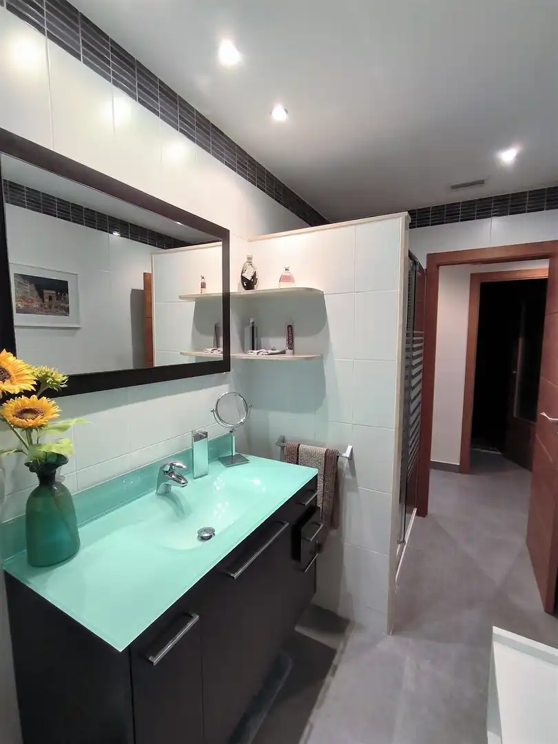 Baño de Casa o chalet en venta en Alcanar con Aire acondicionado, Jardín privado y Terraza