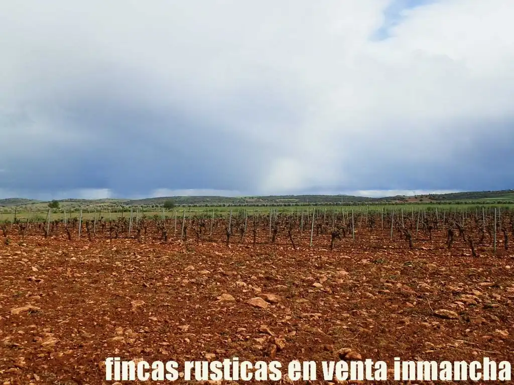 Terreno rustico in vendita a Pozuelo de Calatrava, imagen 8