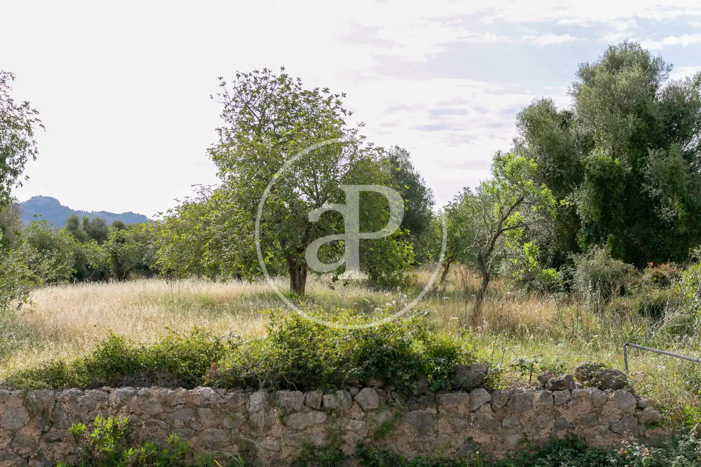 Terreny residencial en venda a Av. Montferrutx, imagen 17