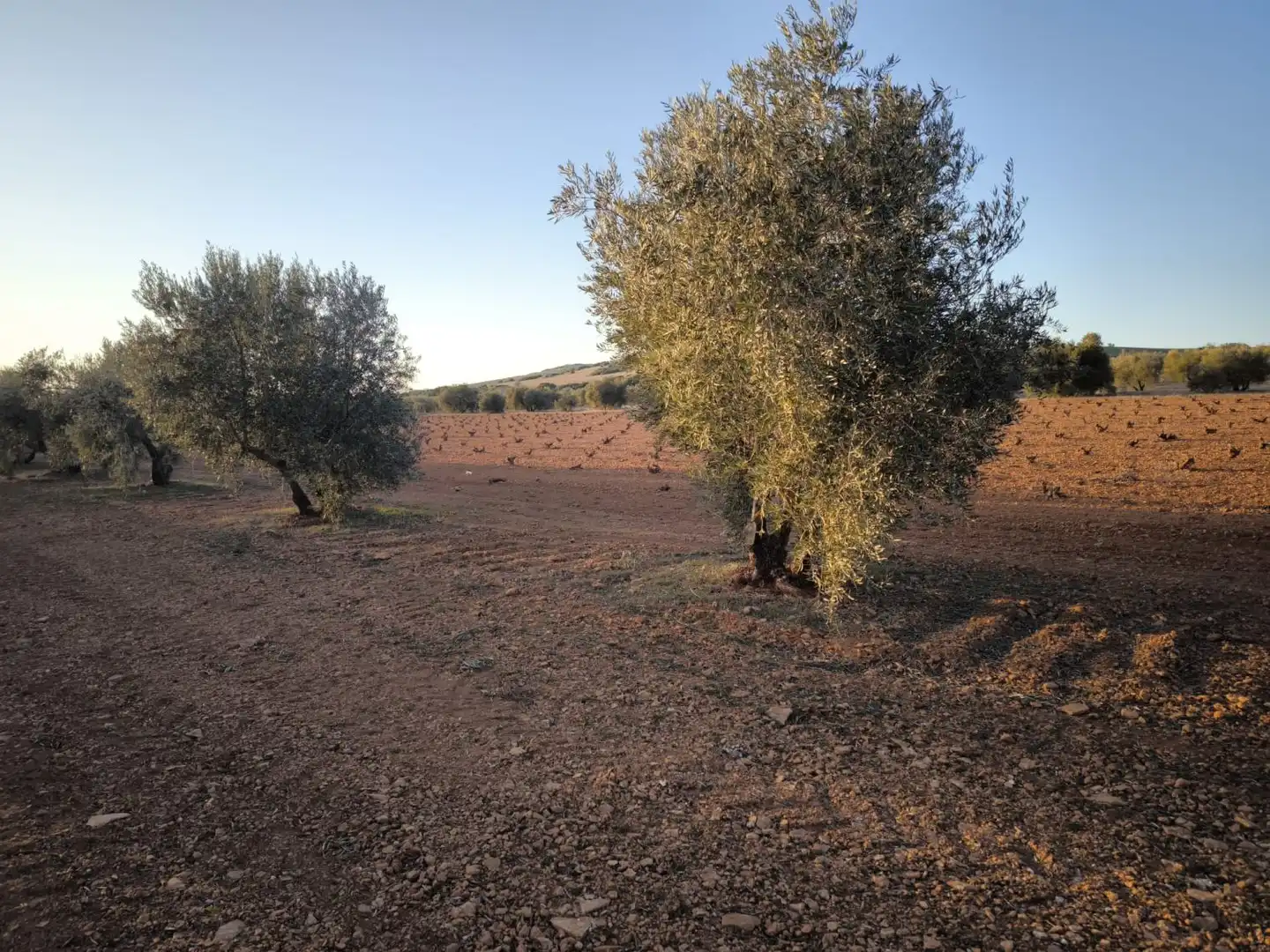 Casa o chalet en venta en Valdepeñas