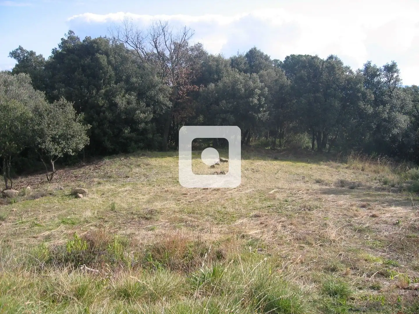 Land for sale in Sant Pere de Vilamajor