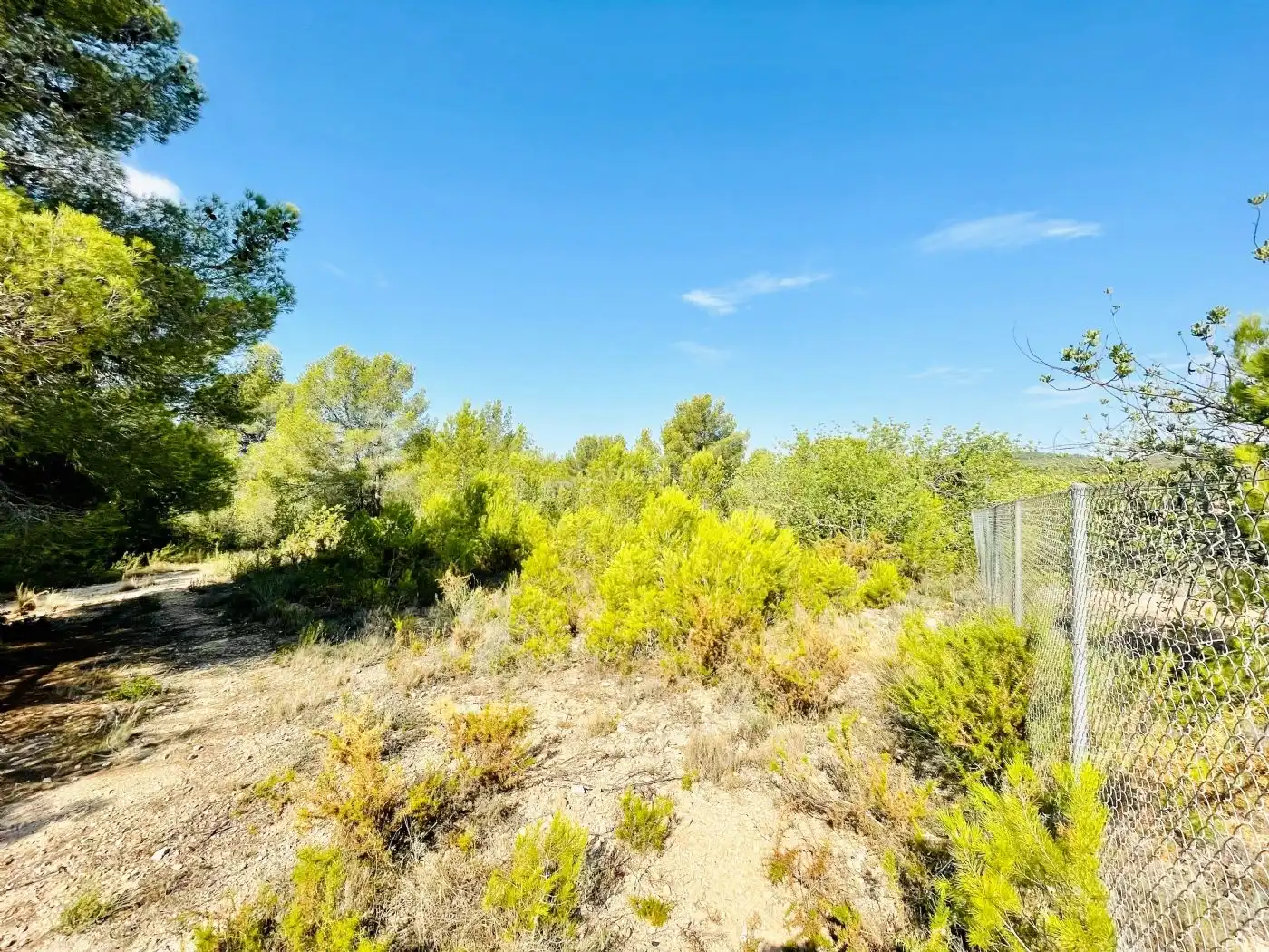 Rural land for sale in Calle Piscina 3305, imagen 14