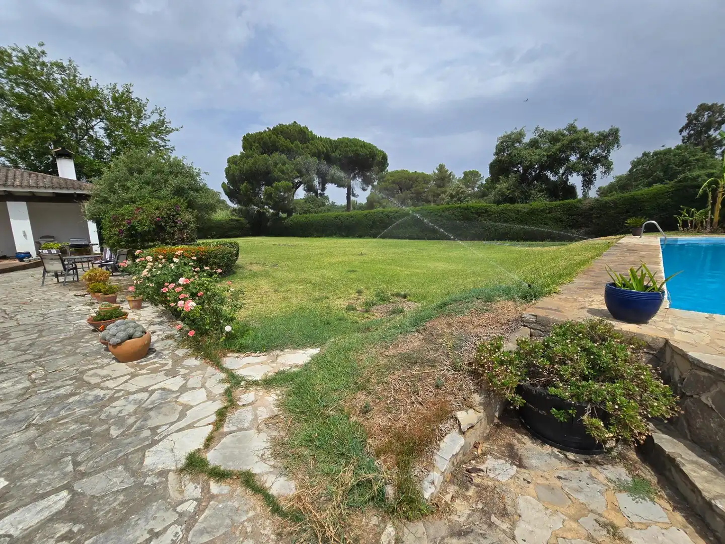 Jardí de Casa o xalet en venda en Jerez de la Frontera amb Aire condicionat, Calefacció i Terrassa